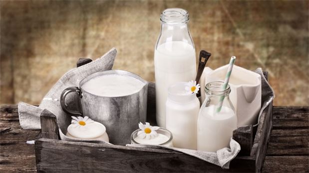 Light sütün faydaları neler?