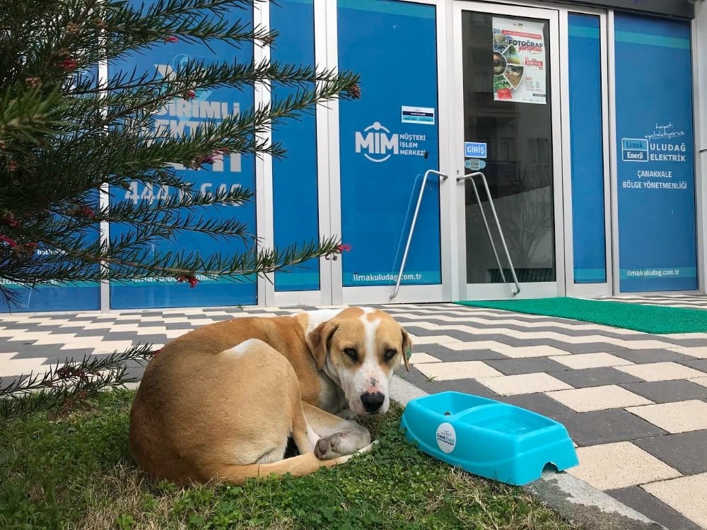 Limak Enerji’den içi ısıtan proje 