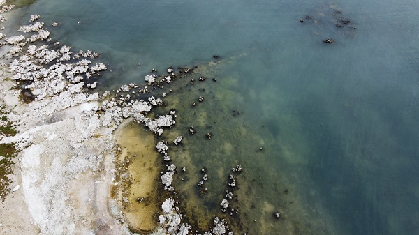 Liman kullanılmaz hale geldi! Van Gölü'nde şaşkına çeviren olay