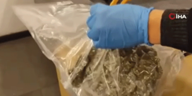 Liman sahasında bulundu: 10 milyon lira değerinde!