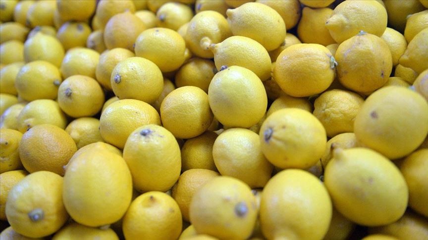 Limon ihracatındaki kısıtlama kaldırıldı