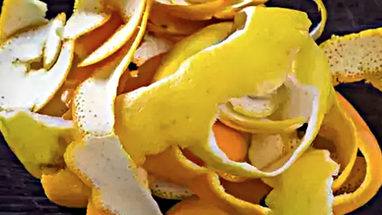 Limon kabuğunu sakın çöpe atmayın! Lif açısından zengin, yüzde faydalı!