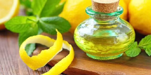 Limon kabuklarını çöpe atmayın