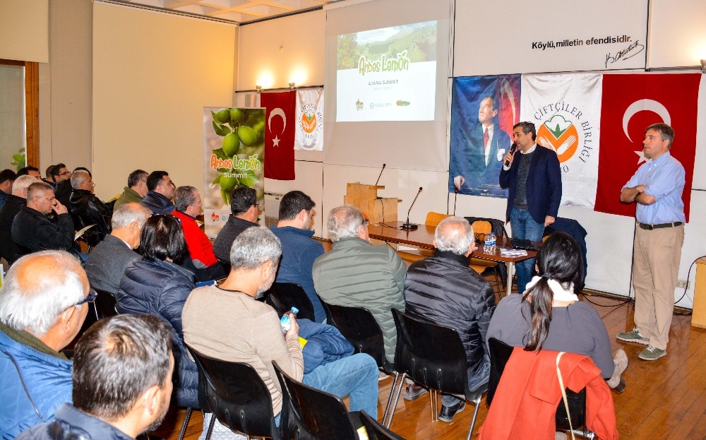 Limonda yüksek verimli çeşit 