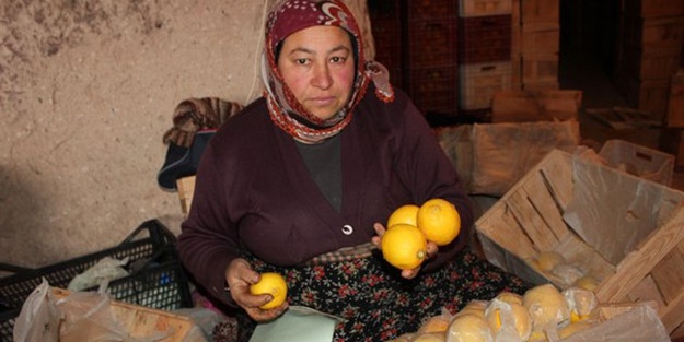 Limonun fiyatı 10 liraya kadar ulaştı