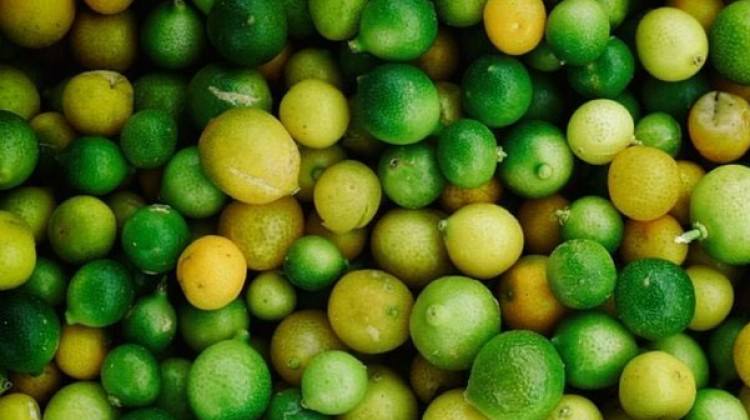 Limonun fiyatı üreticinin yüzünü güldürdü