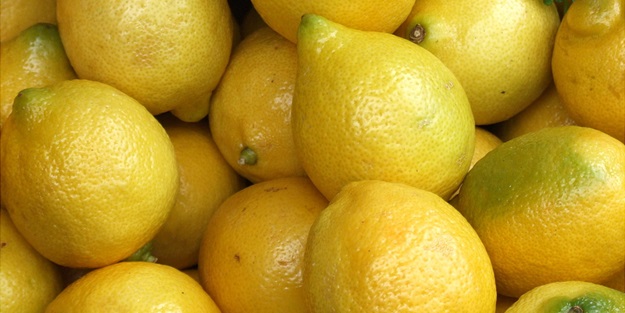 Limonun fiyatı üreticiyi sevindirdi