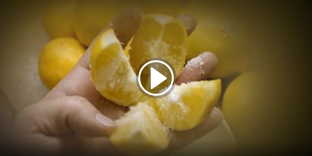 Limonun içine tuz koyup uyursanız...