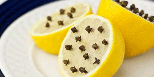 Limonun üzerine karanfilleri yerleştirin ve olacakları görün!
