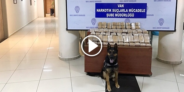 Lisa ve Efes kaçakçıların korkulu rüyası!