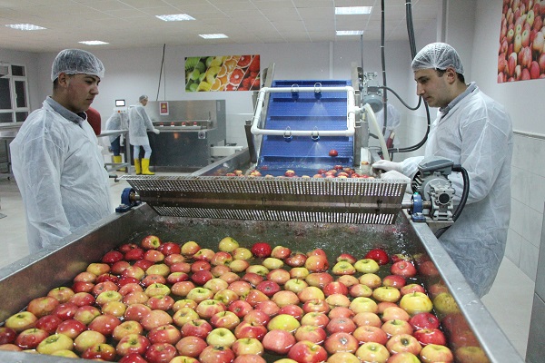 Lise değil adeta fabrika!