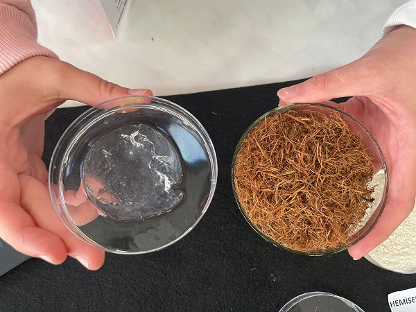 Lise öğrencilerinden büyük başarı! Çay fabrikası atıklarından öyle bir şey yaptılar ki