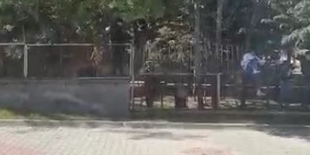Lise öğrencilerinin canlarını tehlikeye attığı okuldan kaçış anları!