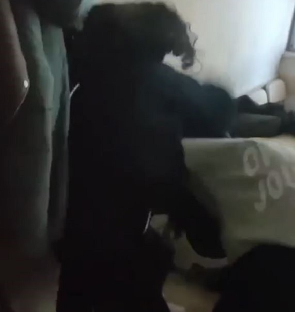 Liseli öğrencilerin kavgası kamerada