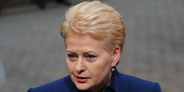 Litvanya Cumhurbaşkanı: Türkiye kararlılığın temsilcisi