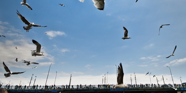 Litvanya Parlamentosu'nda İstanbul tanıtılacak