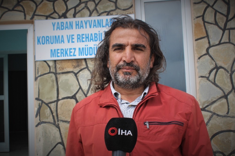 Lokman Aslan: “Türkiye, tür zengini bir ülkedir” 