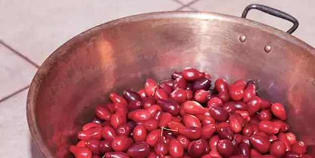 Lokman Hekim'in mucizevi ilacı: Bunu içen doktor yüzü görmüyor! Kızılcık Şerbeti hakkında şoke eden detay