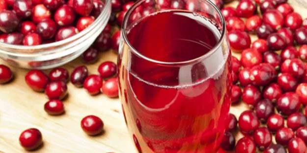 Lokman Hekim'in reçetesindeki şifalı besin: Doğal kızılcık suyu tarifi