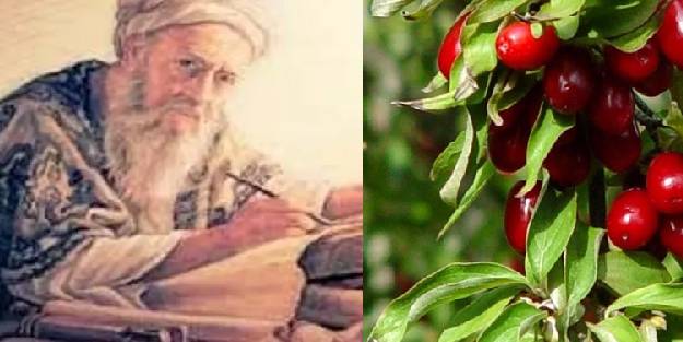 Lokman Hekim'in şifa kaynağı olarak nitelendirdiği yiyecek