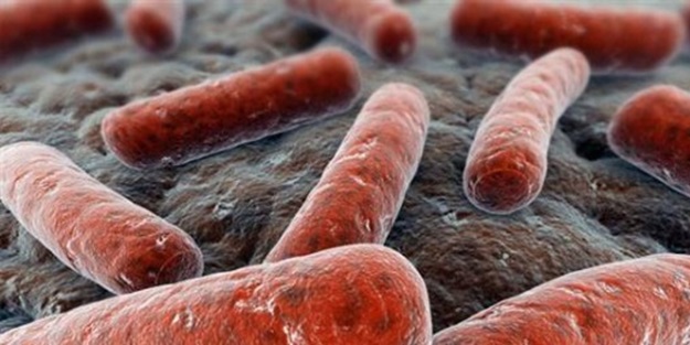 Londra'da verem vakaları Irak'tan daha fazla!