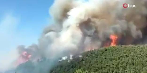 Lübnan'da orman yangını: 2 ölü, 23 yaralı
