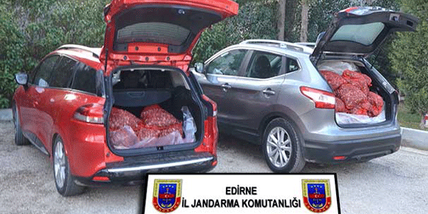 Lüks araçların bagajından çıktı… Görenler gözlerine inanamadı!