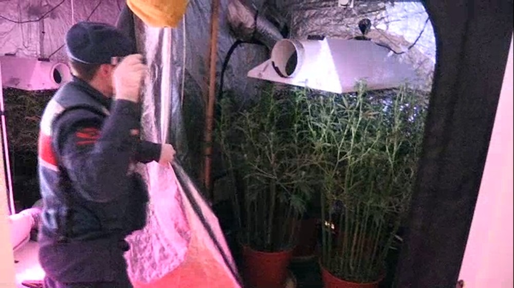 Lüks villa uyuşturucu serasına dönüştürülmüş 