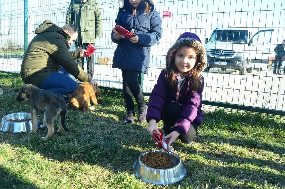 Lüleburgaz’da sokak köpeklerine 1.7 ton mama dağıtıldı 