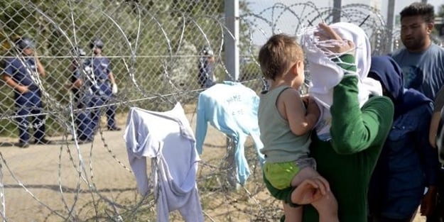 Macar vekilden 'domuz kafası' önerisi geldi