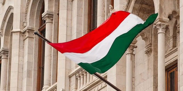 Macaristan'dan ABD Büyükelçisi'ne tepki