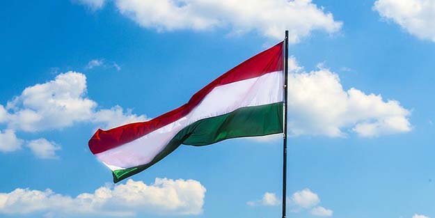 Avrupa ülkesinden dikkat çeken açıklama: Türkiye ile işbirliği çıkarımıza