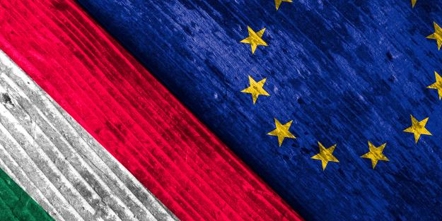 Macaristan'dan doğal gaz, petrol, nükleer enerji konusuna ilişkin açıklama! AB'nin Rusya'ya yönelik yaptırımları...