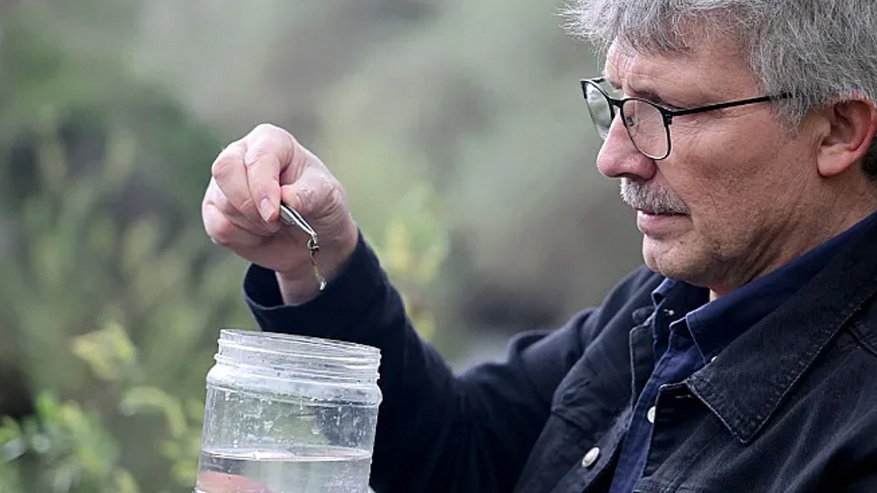 Maden ve Sivrice'den yeni türler: Elazığ'da iki yeni sülük türü tıp literatürüne girdi