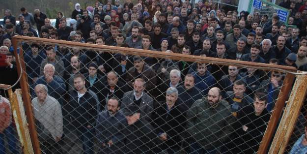 Madenci dayanışması