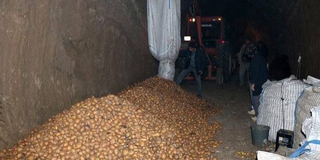 Mağaralarda saklanıyor! Türkiye'nin her yerinden talep var