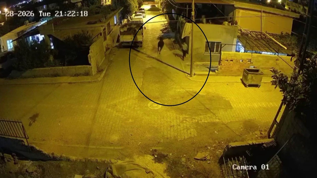 Mahalle savaş alanına döndü! Angus firar etti, sahibi atla peşine düştü