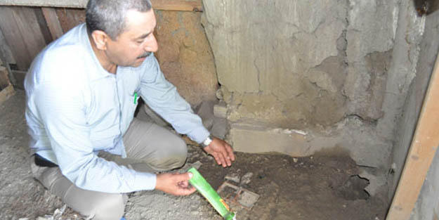 Mahalleli belediyeye koştu! 'Gece gelip kanlarını içiyorlar'