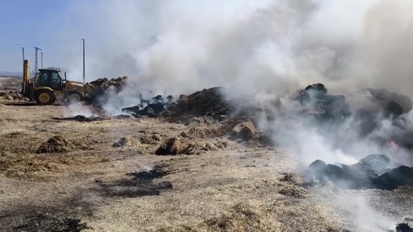 Mahalleli besici için seferber oldu