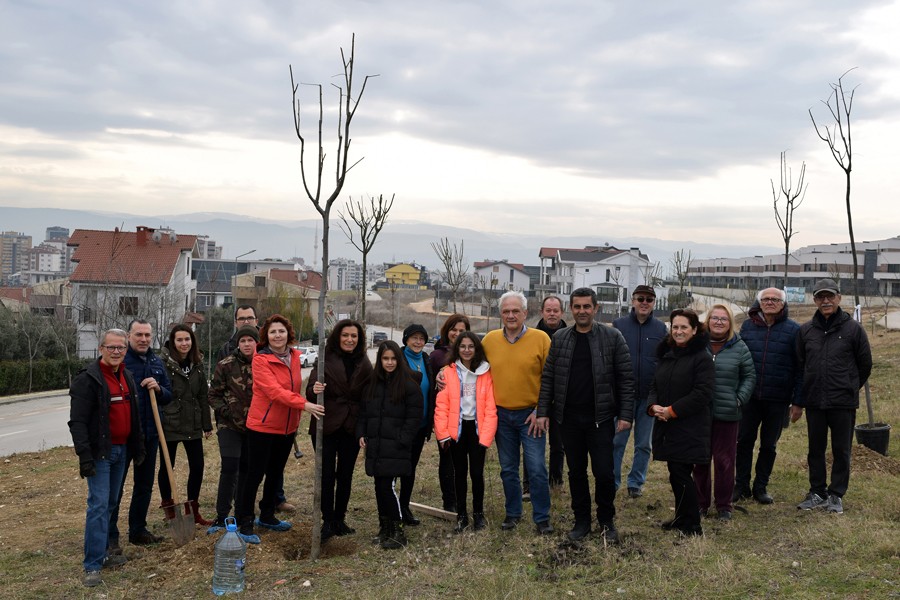 Mahalleli park alanlarını kendi ağaçlandırdı 