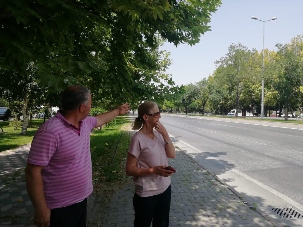 Mahallelinin ‘Kaza’ isyanı 