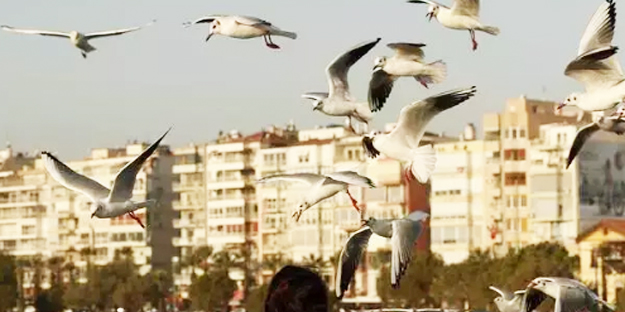 Mahkemeden emsal karar geldi! Kiracı bu kez haksız sayıldı: Flaş hamle...