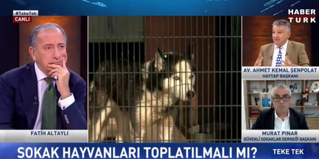 Mahra Melin Pınar'ın acılı babasından da utanmadı! HAYTAP Başkanı'ndan hadsiz sözler