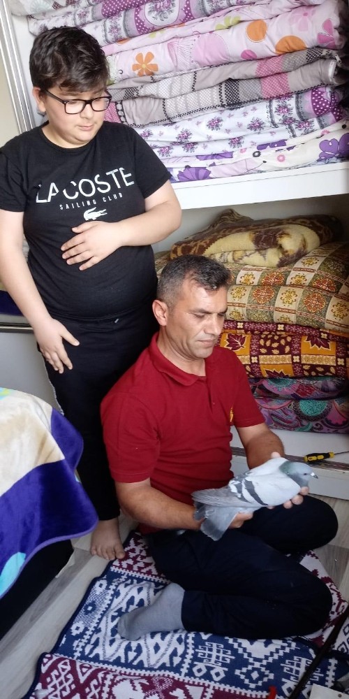 Mahsur kalan güvercin kurtarıldı 