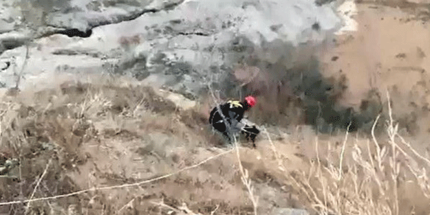 Mahsur kalan köpeğin imdadına itfaiye ekipleri yetişti