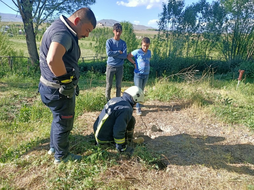 Mahsur kalan yavru köpeği itfaiye ekibi kurtardı 