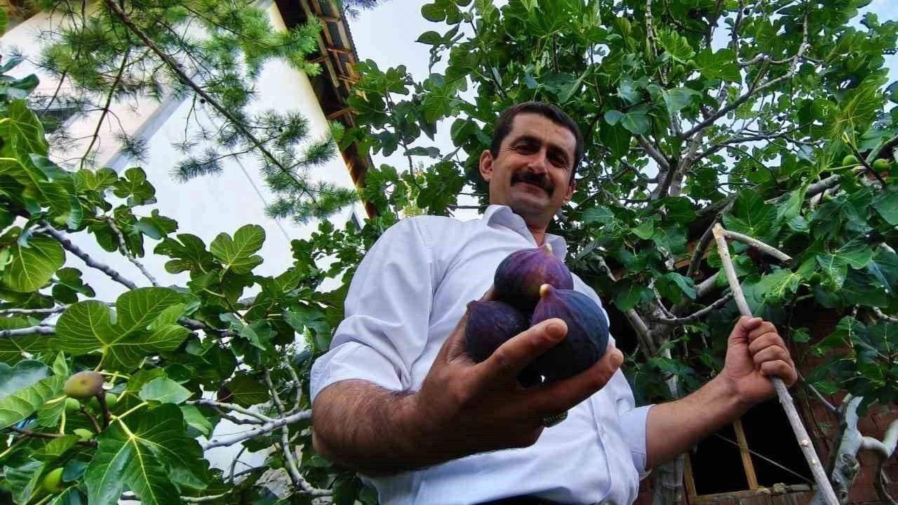  Makarnaya yasak diyen İngiltere Kraliçesi Bursa karası inciri getirmişti: O Erzurum’da yetiştirdi! Peş peşe satıldı