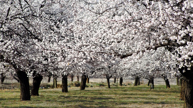 Malatya beyaza büründü