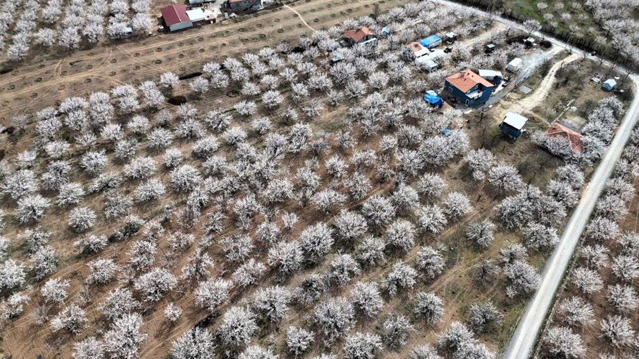 Malatya beyaza büründü