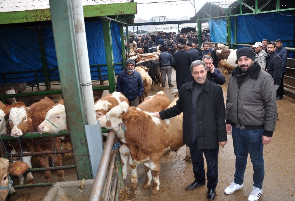 Malatya Hayvan Pazarı kapatıldı 